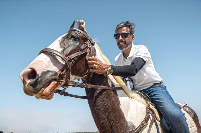 A tale of thoroughbreds